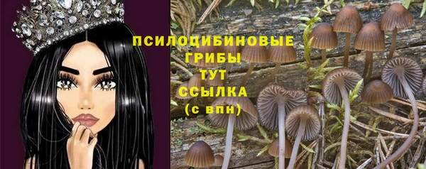 мефедрон Нефтегорск