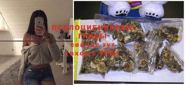 PSILOCYBIN Навашино